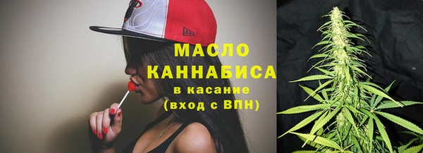 гашик Козельск