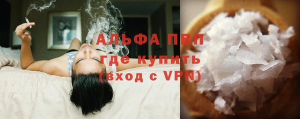 гашик Козельск
