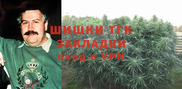гашик Козельск