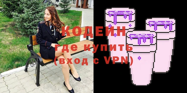 гашик Козельск